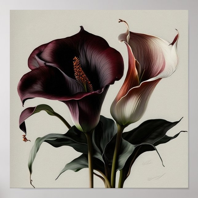Maroon Calla Lily Lily Flower Art Poster (Frente)