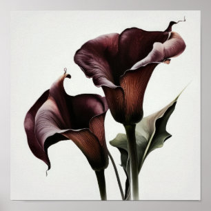 Maroon Calla Lily Lily Flower Art Poster