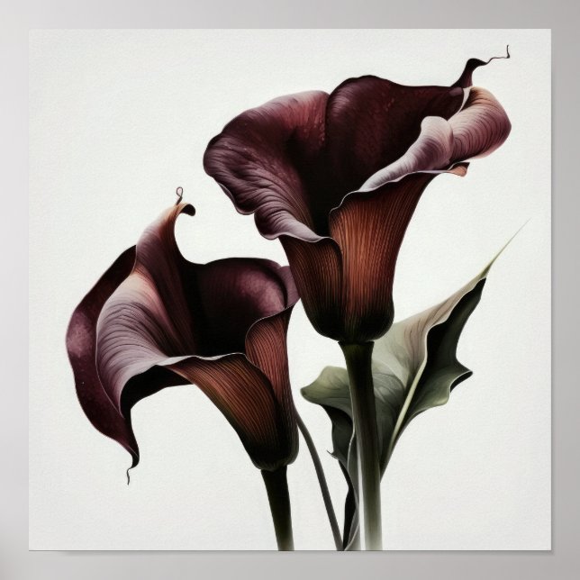 Maroon Calla Lily Lily Flower Art Poster (Frente)