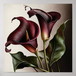 Maroon Calla Lily Lily Flower Art Poster