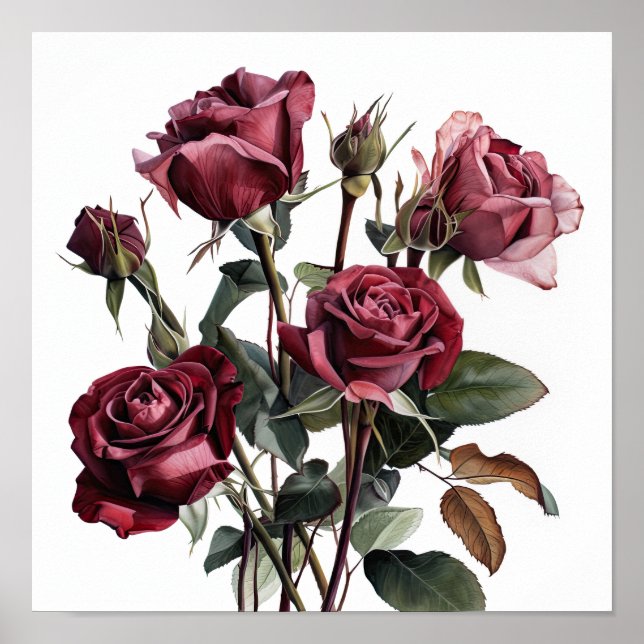 Maroon Rosa Flower Art Poster (Frente)