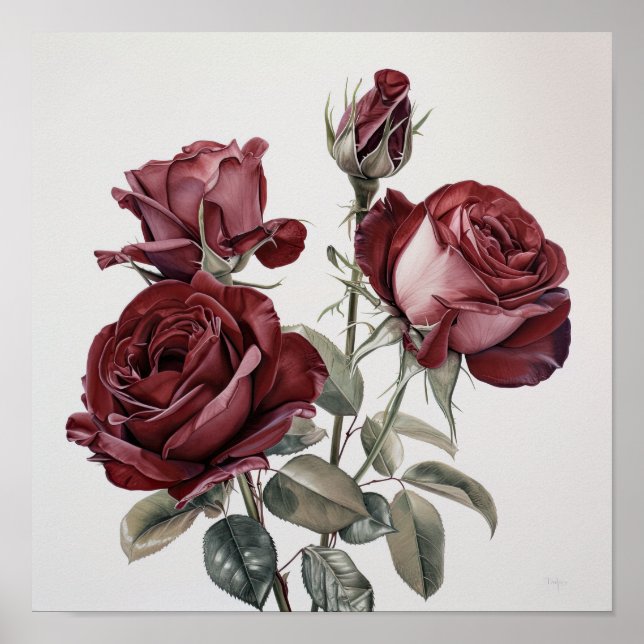 Maroon Rosa Flower Art Poster (Frente)