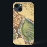 Marrom e Seashell Verde<br><div class="desc">Se você não pode ir à praia hoje,  pegue esta imagem clássica do estilo desta única casca verde e marrom hoje! Esta casca do oceano é cercada por areia quente nesta pintura e se excelente em qualquer produto náutico.</div>