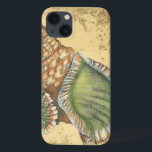 Marrom e Seashell Verde<br><div class="desc">Se você não pode ir à praia hoje,  pegue esta imagem clássica do estilo desta única casca verde e marrom hoje! Esta casca do oceano é cercada por areia quente nesta pintura e se excelente em qualquer produto náutico.</div>