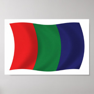 Mars Flag Poster Impressão