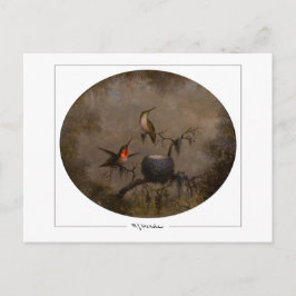 Martin Johnson Heade #131 - Cartão Postal de Arte 