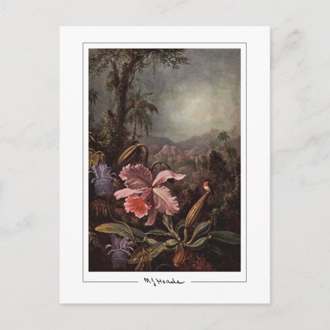 Martin Johnson Heade #202 - Cartão Postal de Arte  (Frente)