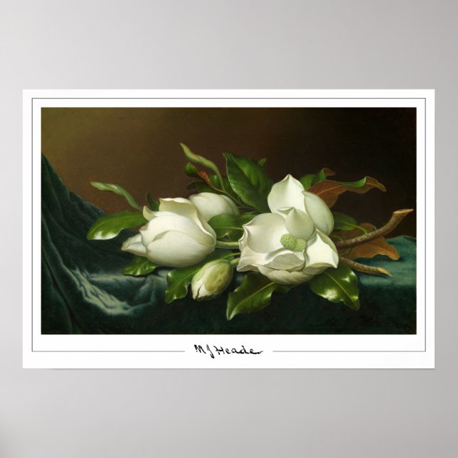 Martin Johnson Heade Zedign Art Poster nº 12 (Frente)