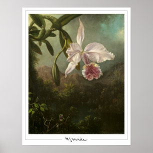Martin Johnson Heade Zedign Art Poster nº 2