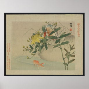 Martinho pescatore - impressão do japonês