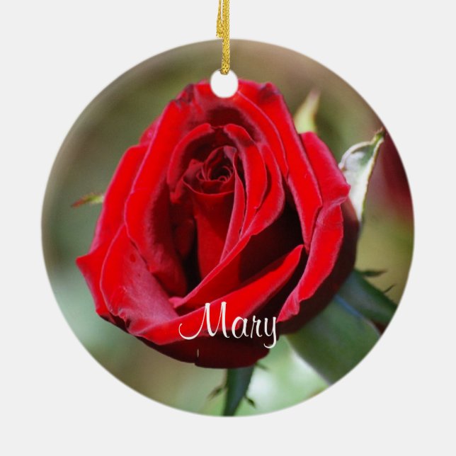 Mary Personalizada Ornamento de Rosas vermelhas (Traseira)