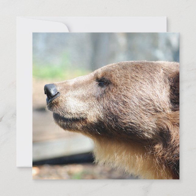 Master Bruin (Frente)