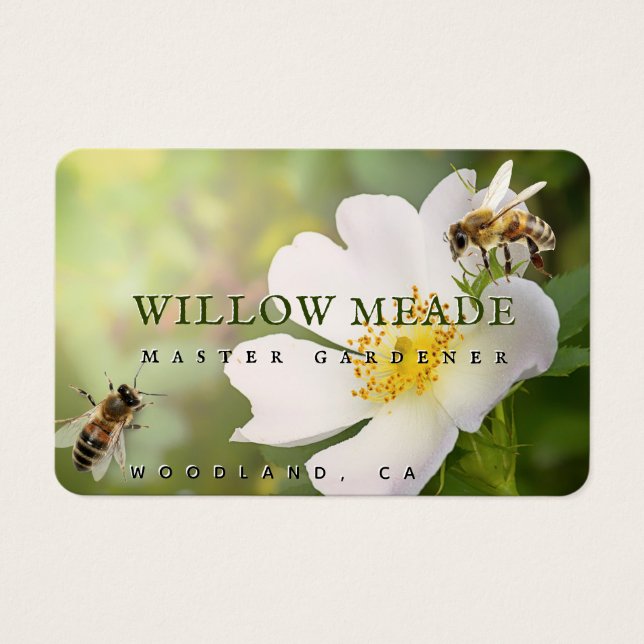MASTER GARDENER Wild Rosa e Bee Cartão de visita (Frente)