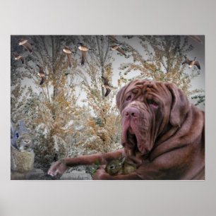 Mastiff com Poster de pequeno coelho