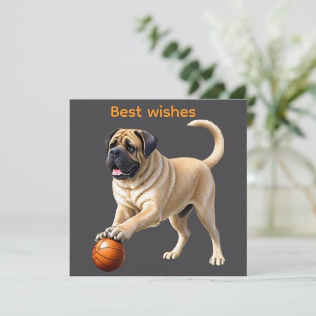 Mastiff englische Dogge mit Ball im Urlaub (Em pé/Frente)