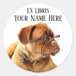 Mastiff francês na etiqueta do Bookplate dos