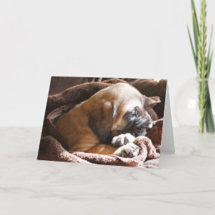 Mastiff Puppy Cartão "Miss You"