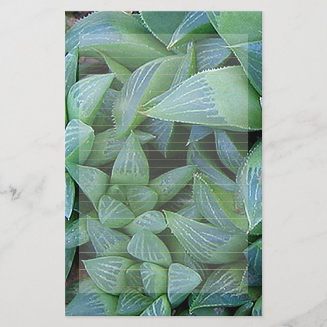 Material de papelaria em linhaque verde (Frente)