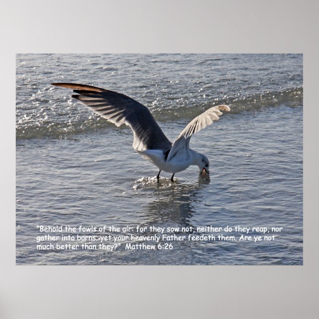 Mateus 6:26 Poster de Escritura (Frente)