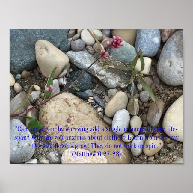 Mateus 6:27-28 Poster (Frente)