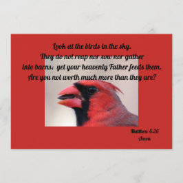 Matt 6: 26 cartão cardeal
