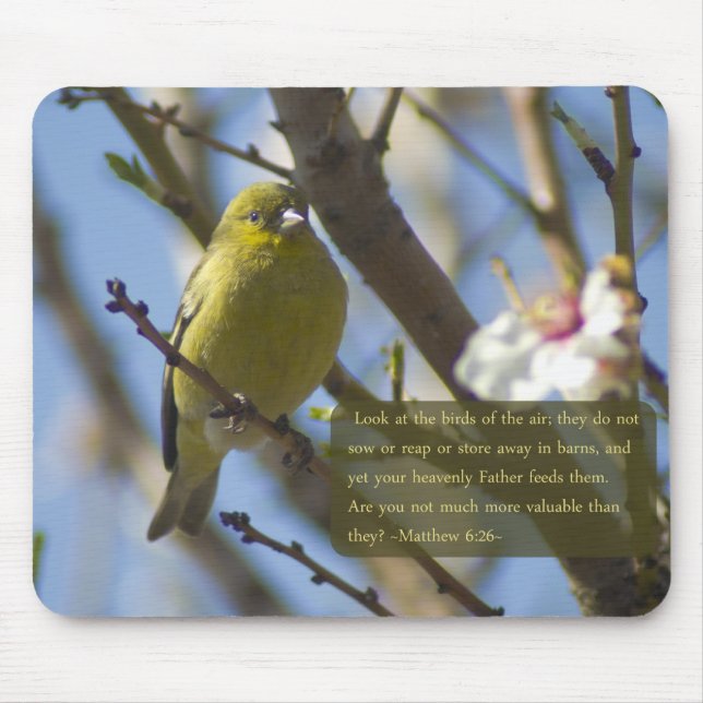 Matthew 6:26 Goldfinch Mousepad (Frente)