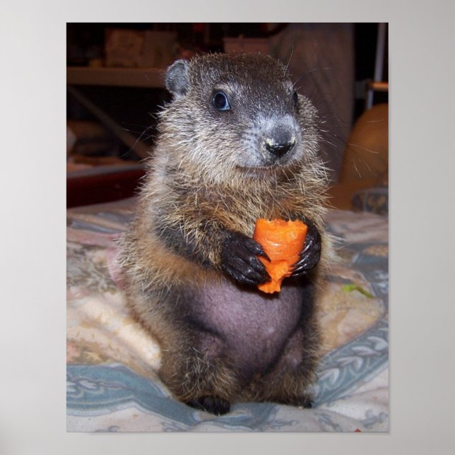 Maude Poster 1 (Frente)