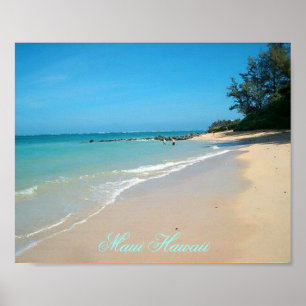 Maui Havaí 10"" poster x8