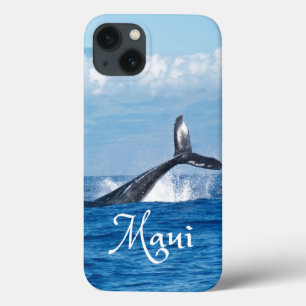 Maui Hawaii Ocean Whale Tail