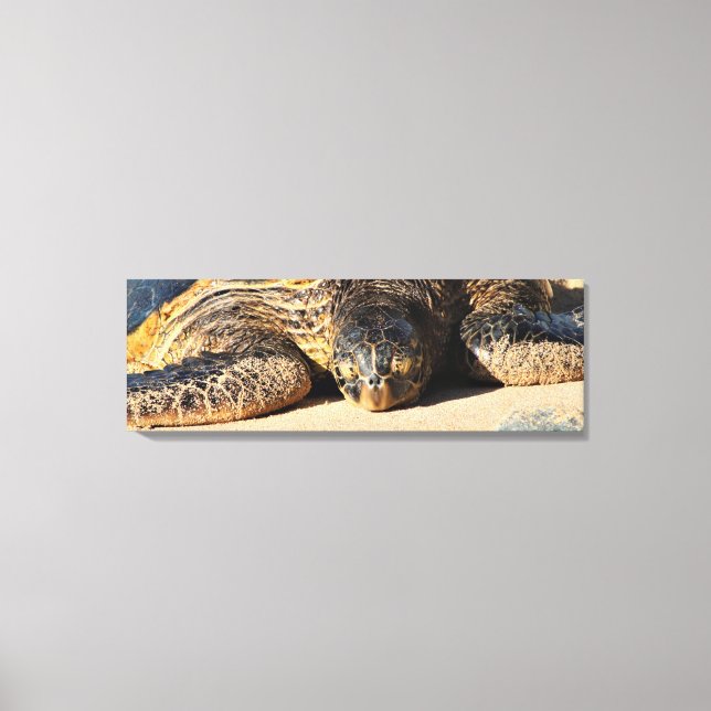 Maui Sea Turtle Canvas (Frente)