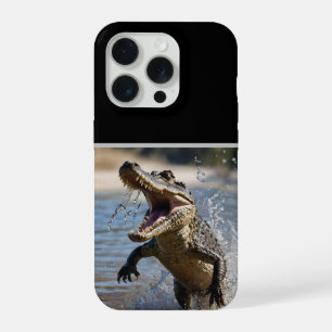 Maxilares Assustadores: Crocodilo Australiano Salt