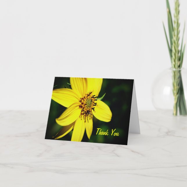 Máximo Cartões de agradecimentos de Flor de Girass (Frente)