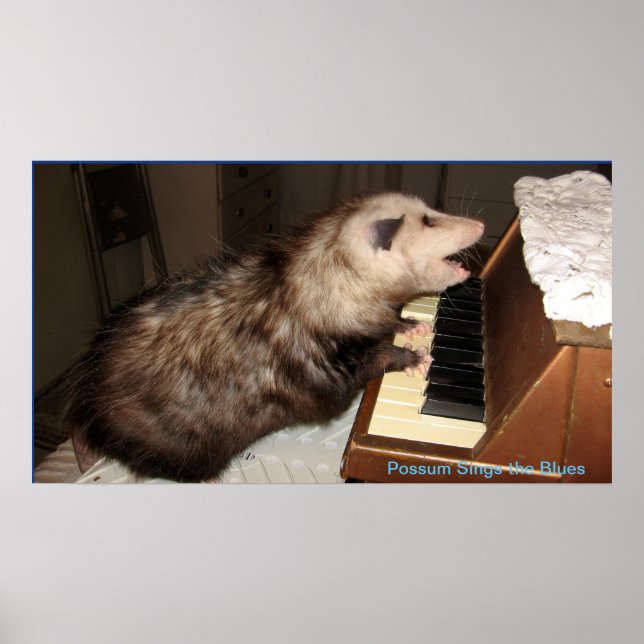 ME Pearl Possum Poster (Frente)