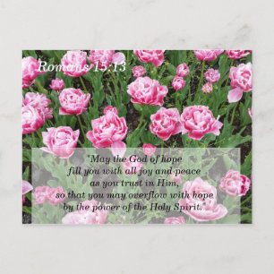 Meditação de Escrituras e Cartão de Memória