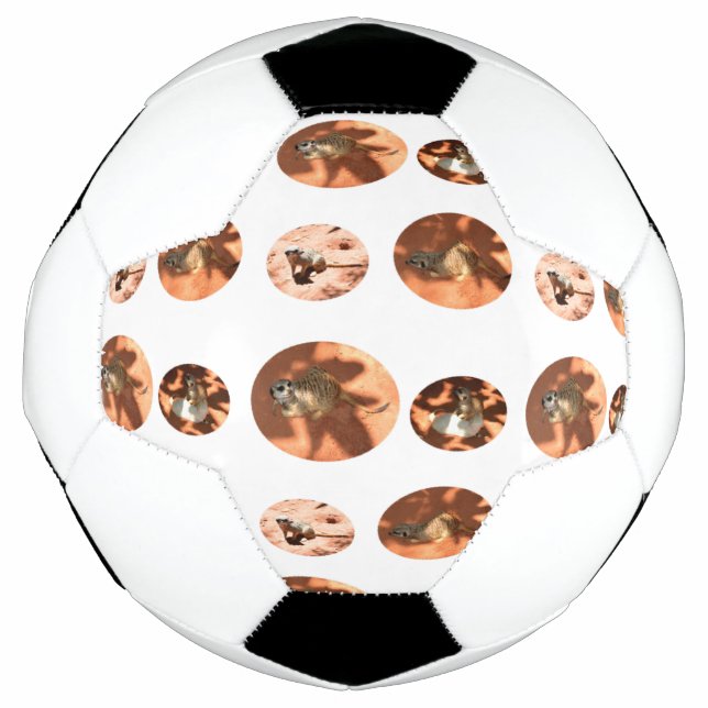 Meerkat Ball Shape, bola de futebol (Frente)