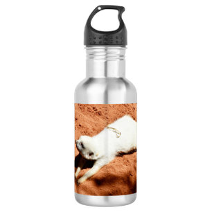 Meerkat Branco Esticando, Garrafa De Água