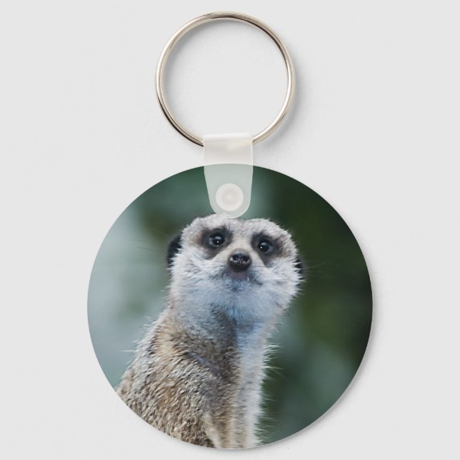 Meerkat Chaveiro (Frente)