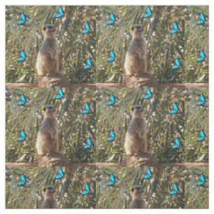 Meerkat E Borboletas Azuis, Tecido