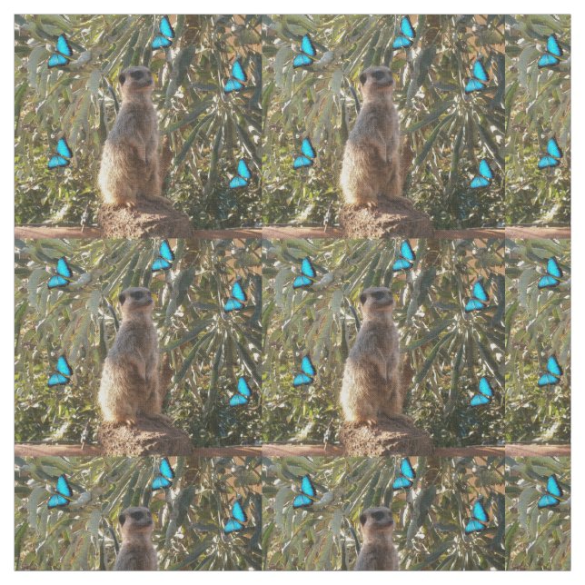 Meerkat E Borboletas Azuis, Tecido (Modelo)