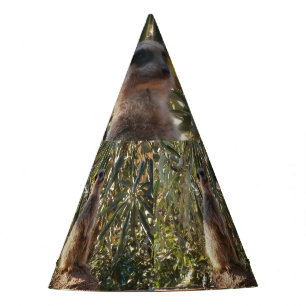 Meerkat Em Guarda, Chapéu Fpartidário