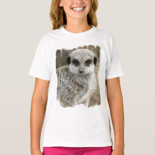Meerkat enfrenta o t-shirt da menina