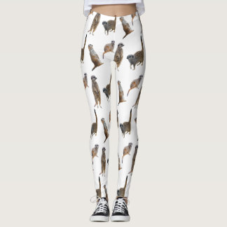 Meerkat Frenzy Leggings (escolher cor)