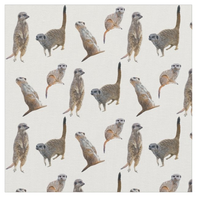 Meerkat Frenzy Tecido (escolha a cor) (Detalhe)
