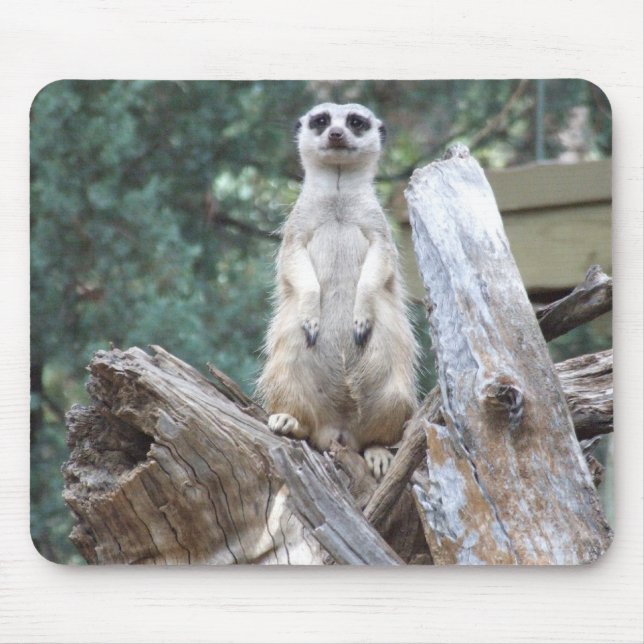Meerkat Mousepad (Frente)