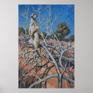Meerkat sentinel - Art impressão