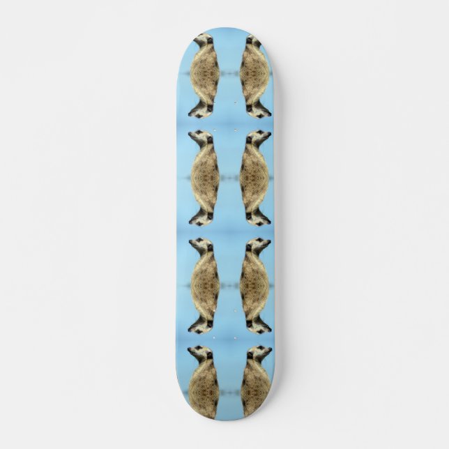 Meerkat Skateboard (Frente)