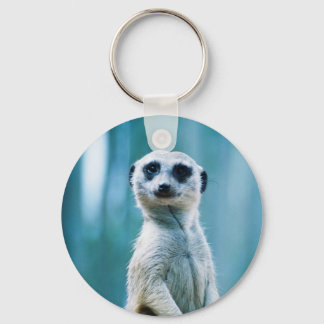 Meerkat Staredown - O Chaveiro