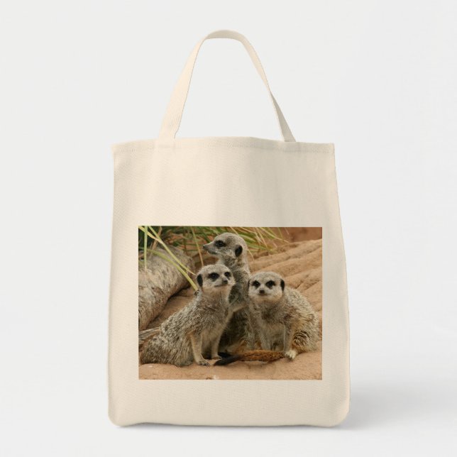 Meerkats no bolsa orgânico da vigia (Frente)