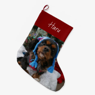 Meia De Natal Grande Black and Tan Cavalier King Charles Spaniel