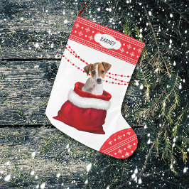 Meia De Natal Grande Borda do Floco de Neve do Gift Jack Russell Terrie